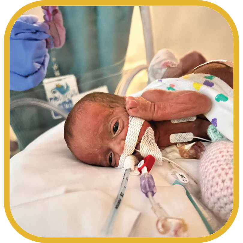 Prestin Family Medical Fund